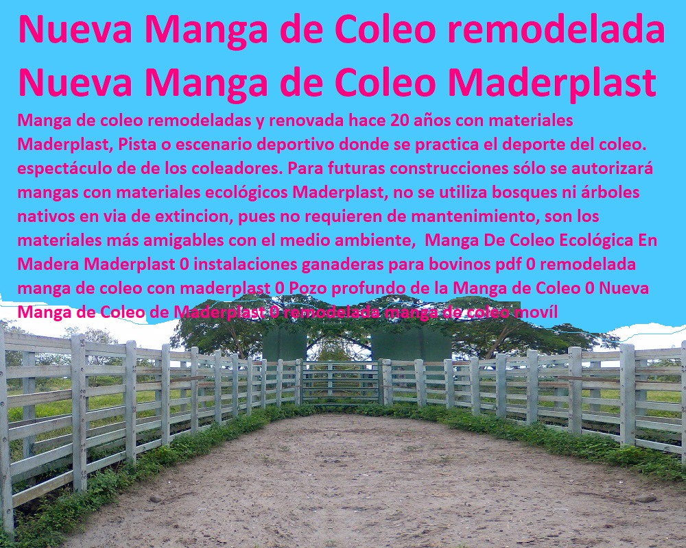 Manga De Coleo Ecológica En Madera Maderplast 0 instalaciones ganaderas para bovinos pdf 0 remodelada manga de coleo con maderplast 0 Pozo profundo de la Manga de Coleo 0 Nueva Manga de Coleo de Maderplast 0 remodelada manga de coleo movíl Manga De Coleo Ecológica En Madera Maderplast 0 instalaciones ganaderas para bovinos pdf 0 remodelada manga de coleo con maderplast 0 Pozo profundo de la Manga de Coleo 0 Mangas De Coleo, Corral Caballerizas, Pesebreras De Caballos, Plaza Toros, Brete Ganadero, Apretaderos Embarcaderos, Postes Tablas, Polines Varetas, Mangas De Coleo, Horcones Madera Plástica, Corrales, Establos De Ganado, Nueva Manga de Coleo de Maderplast 0 remodelada manga de coleo movíl